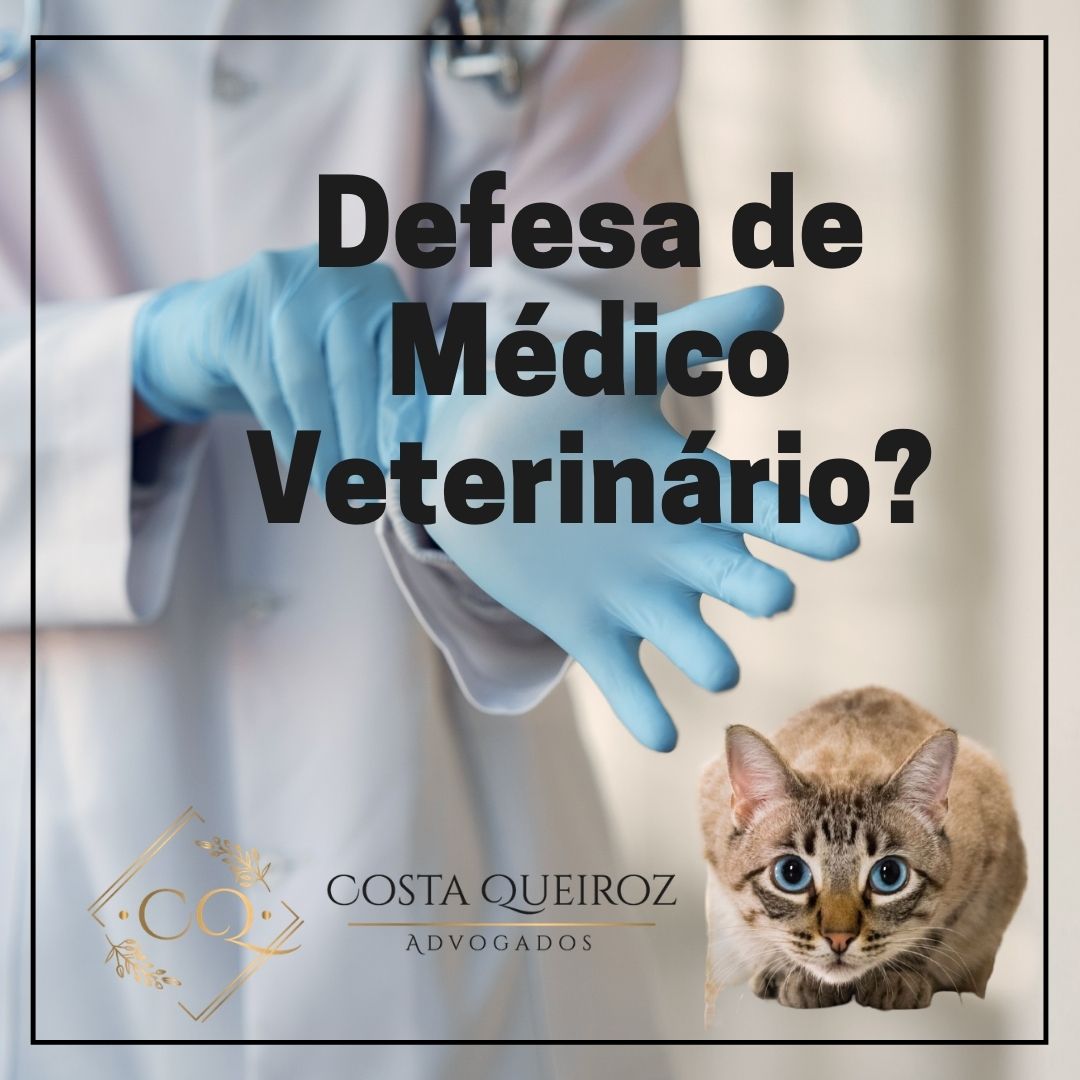 Leia mais sobre o artigo Veterinária é responsabilizada por negligência médica